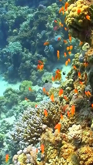 海底世界