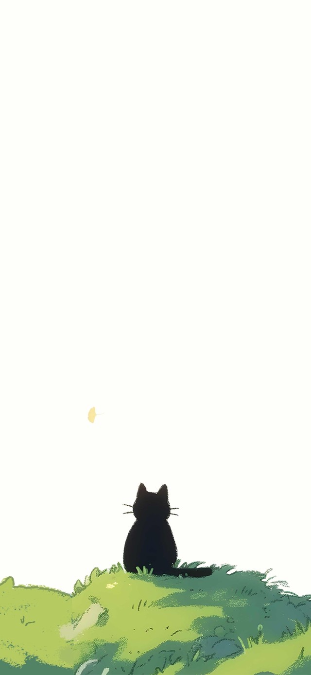 看风景的猫咪