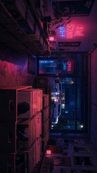 夜晚的唱片店