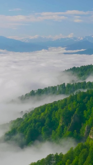 雪山云海