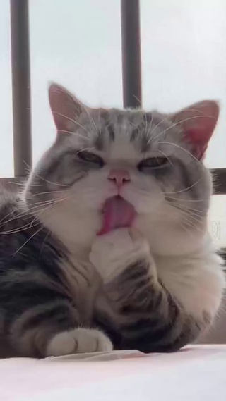 舔个jiojio要这么销魂吗