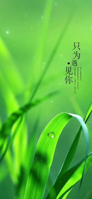 清新遇见你