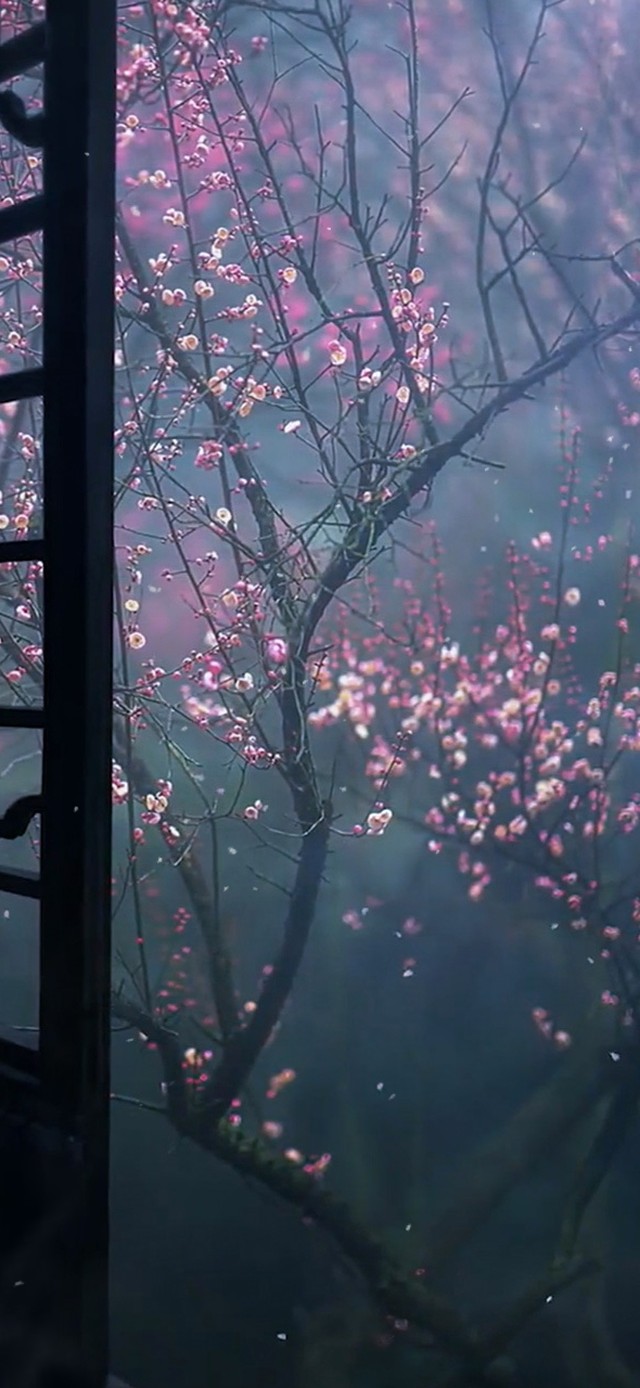 唯美桃花壁纸