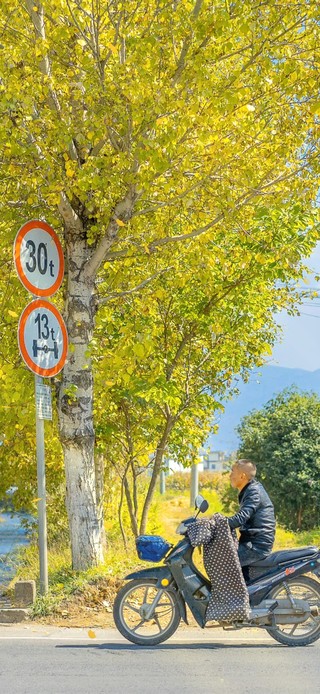秋日街道