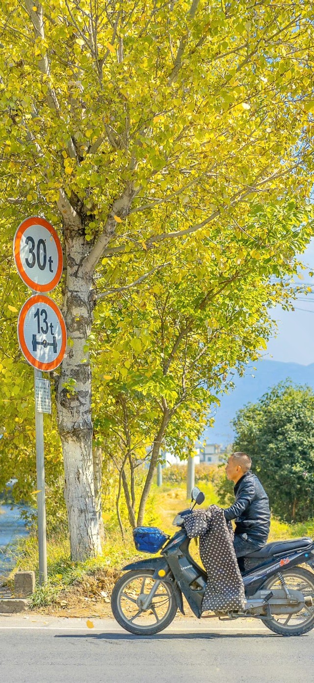 秋日街道
