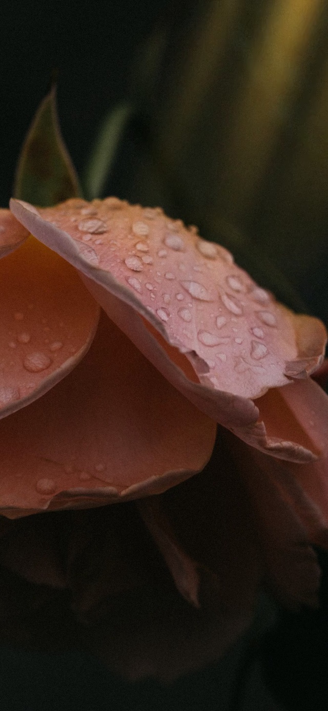 遇见阳光 遇见你