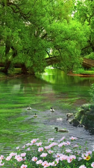 自然美景