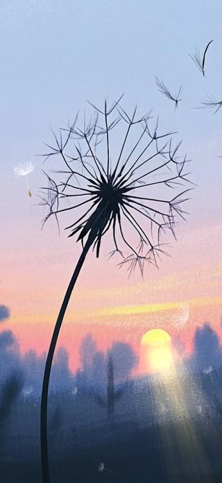 花漾壁纸|蒲公英与黄昏森林