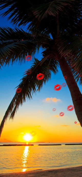 浪漫的是陪你看日落