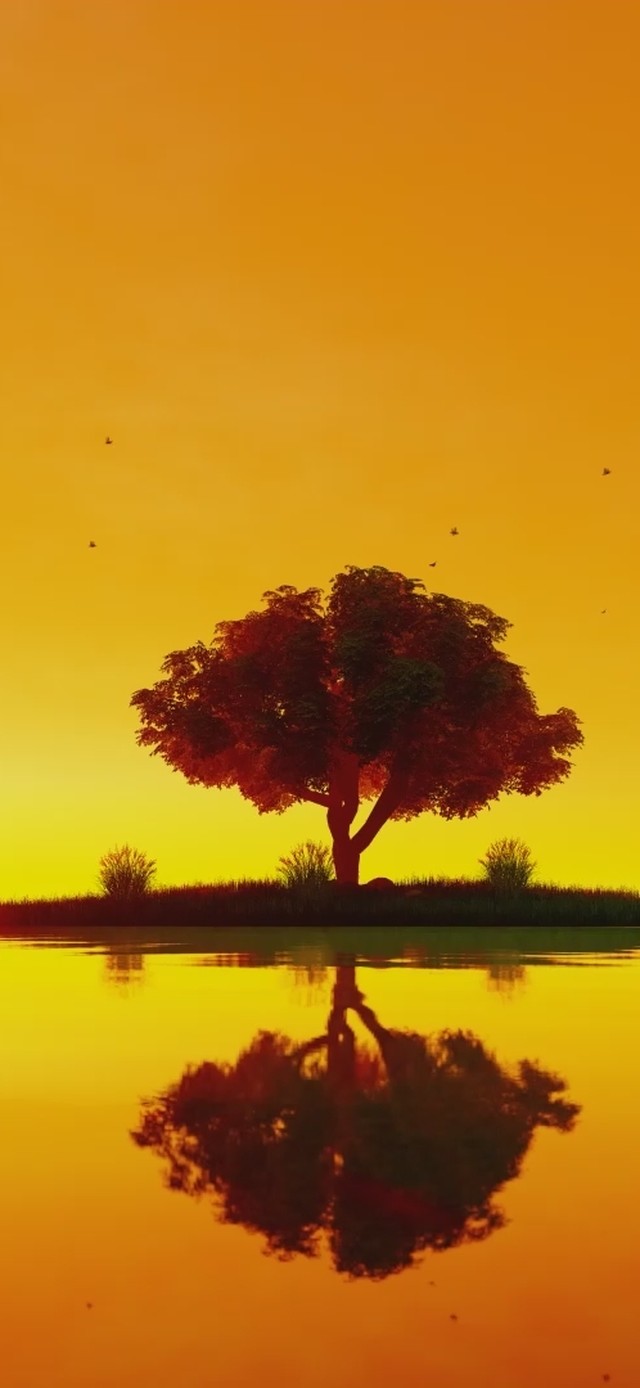 夕阳意境湖面倒影小树