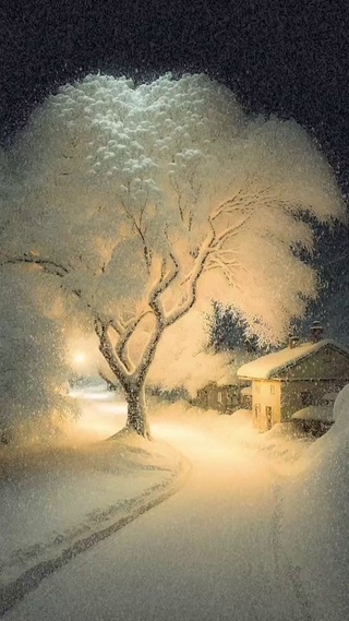 雪景