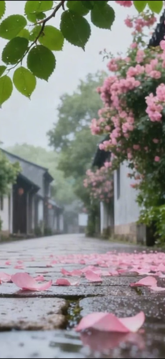 雨天小道