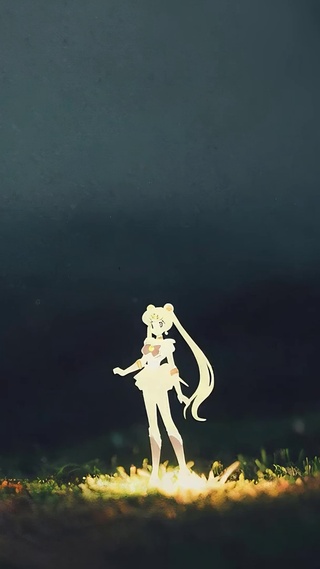 夜暮草原美少女金色剪影