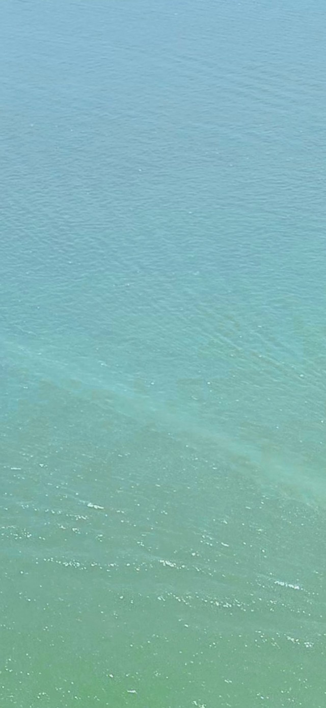 海滨城市
