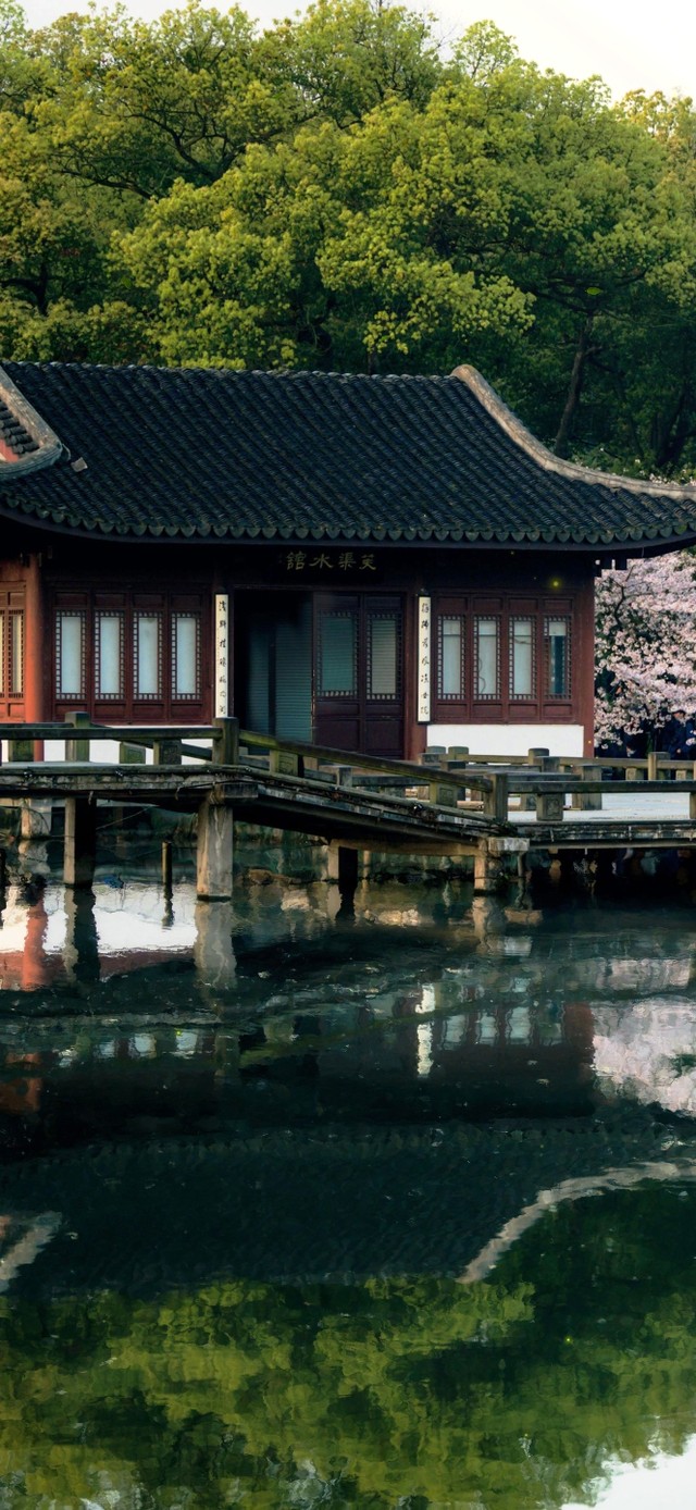 4K唯美治愈春天古风园林
