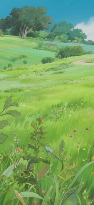 护眼绿景