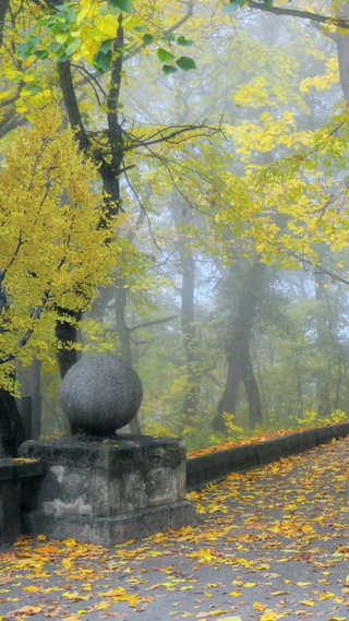 秋雨揉碎山色黄