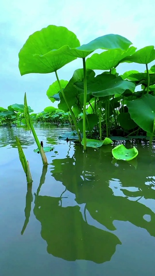看看风景 放松心情