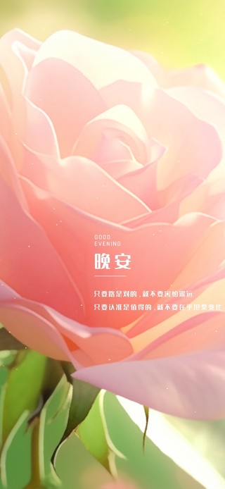 清新浪漫花语