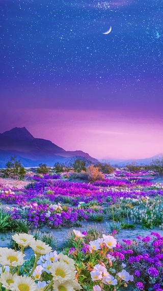 治愈系美景