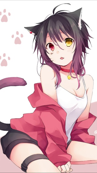 猫娘