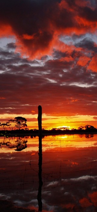送别你那天夕阳正好