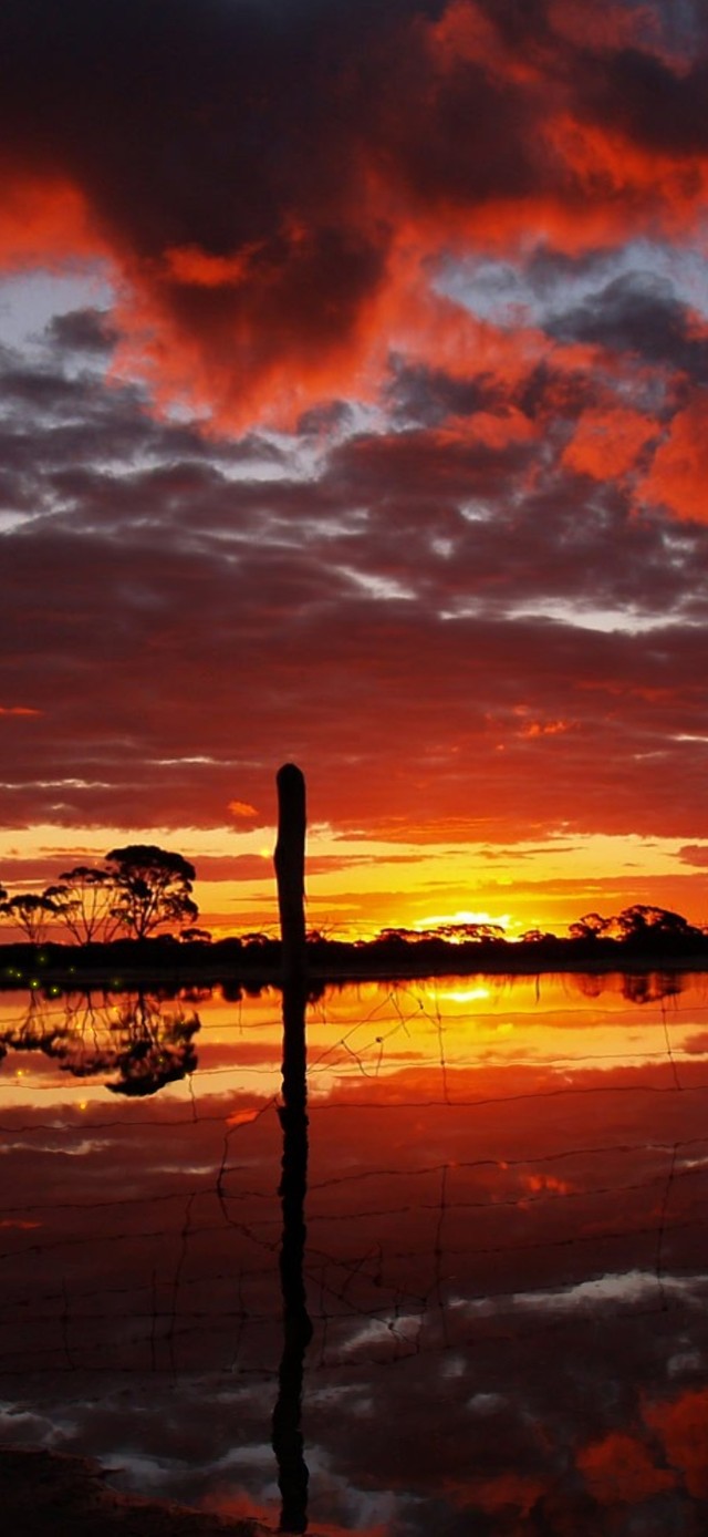 送别你那天夕阳正好