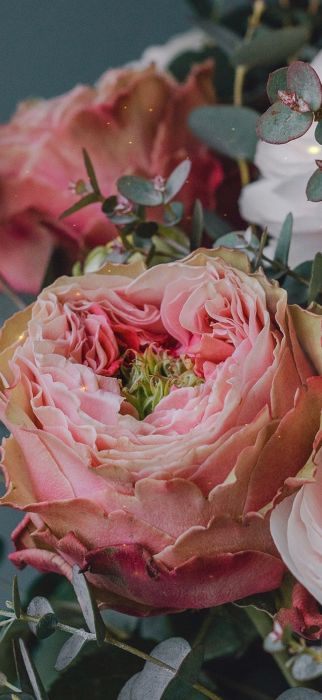 治愈简约清新桌面