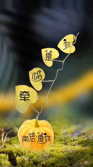 难挂的思念