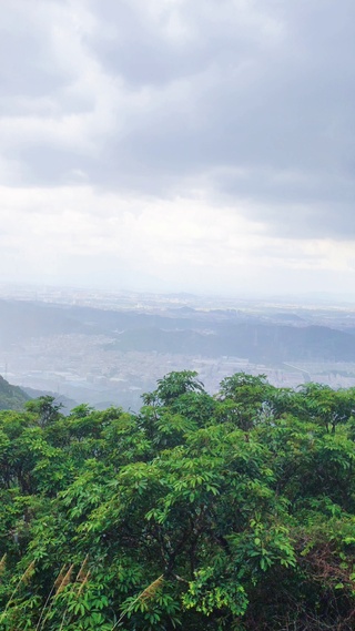 山雨