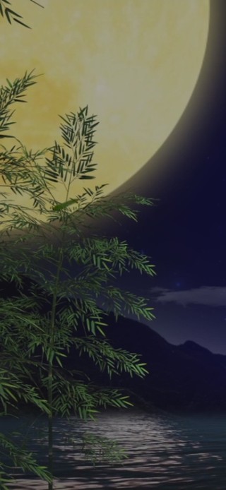 竹林圆月(无限循环)