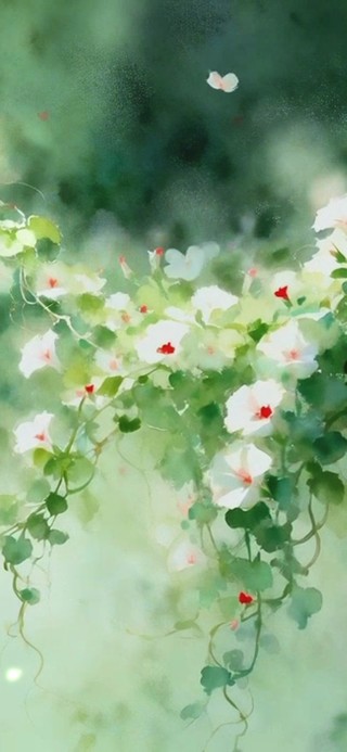 极致疗愈 | 花间梦事