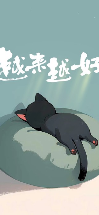 越来越好 治愈猫咪