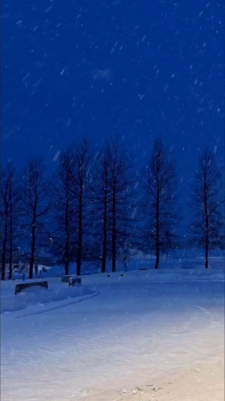 风景