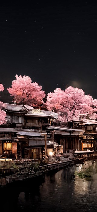樱花季 明月夜