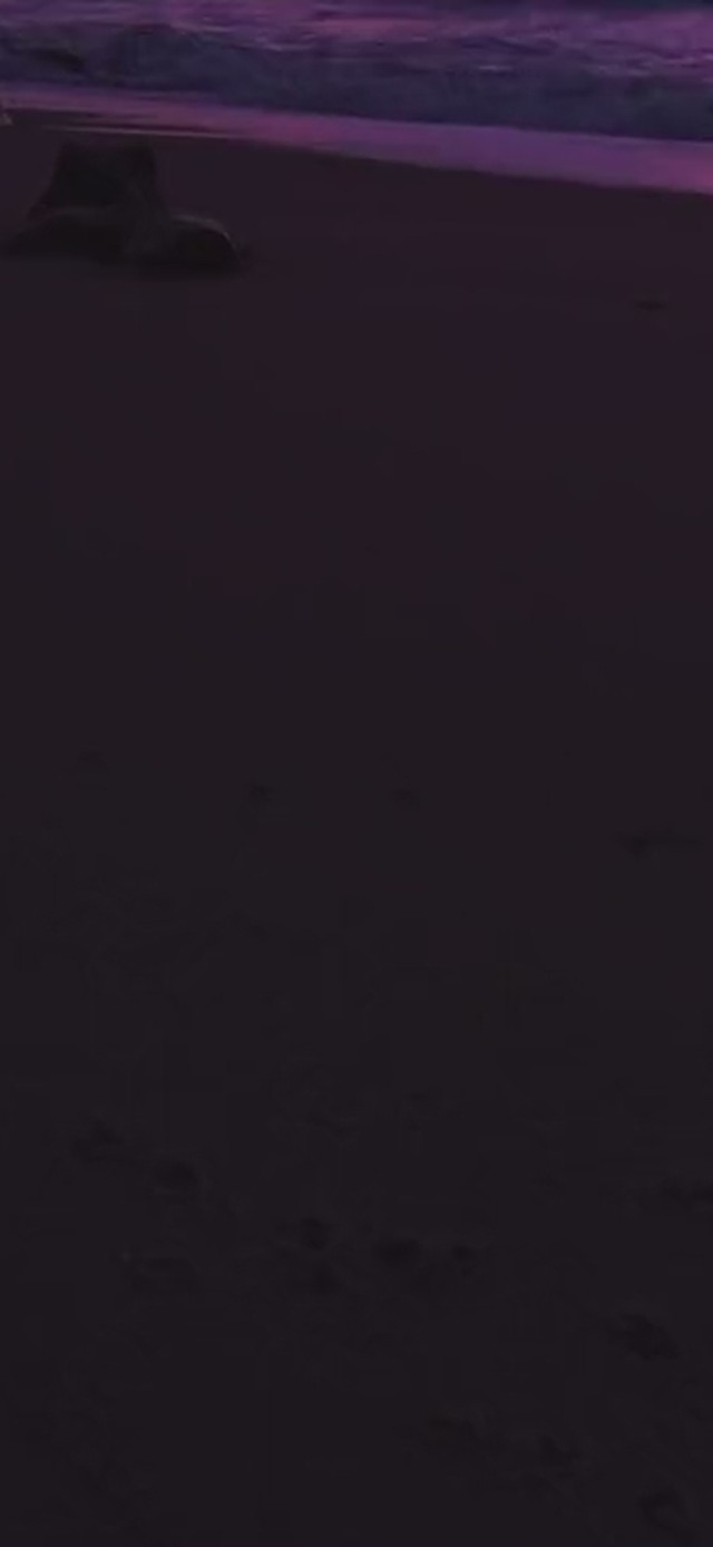 累了，不妨来看看这大千世界的美