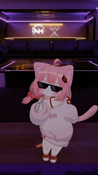 跳舞的猫猫