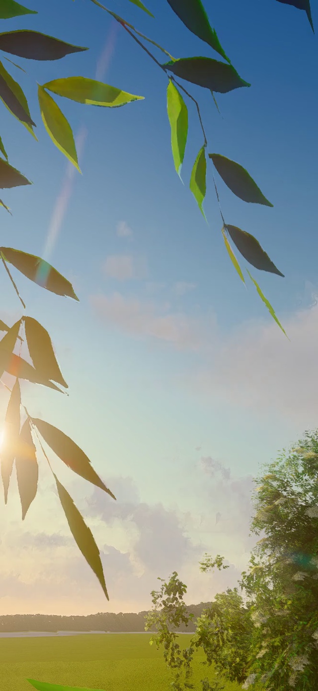 起风了（4k双端）