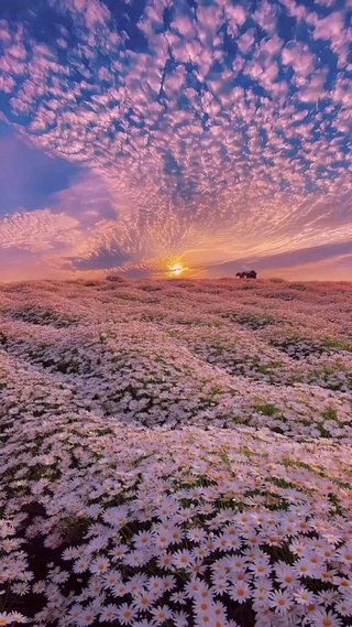 晚霞，晚霞能治愈我一天的疲惫  ̋(ˊ•͈ ꇴ •͈ˋ)