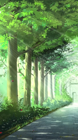 走进森林道路