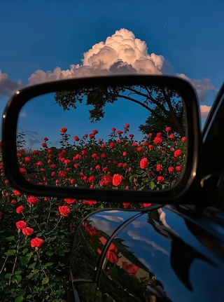 镜中花