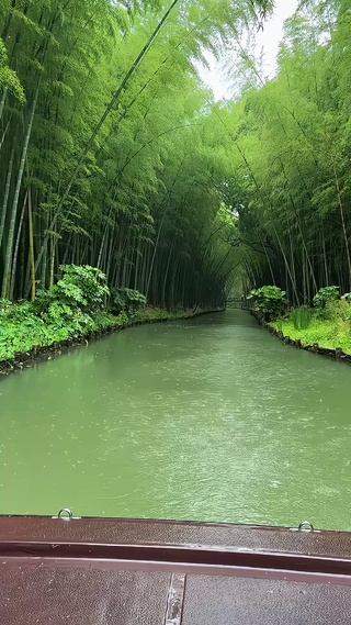 雨天竹林