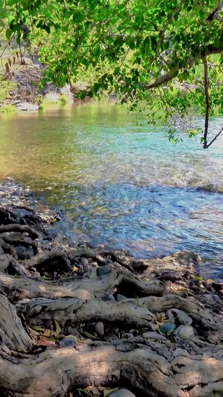 绿色自然风景