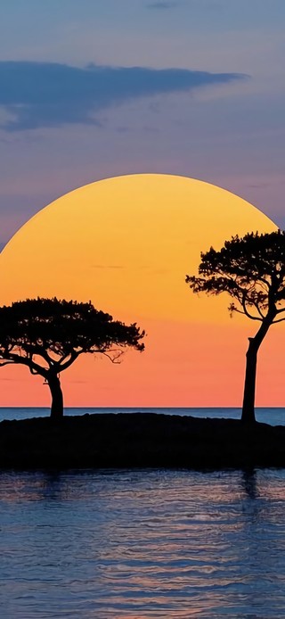 花漾壁纸|海上落日双松