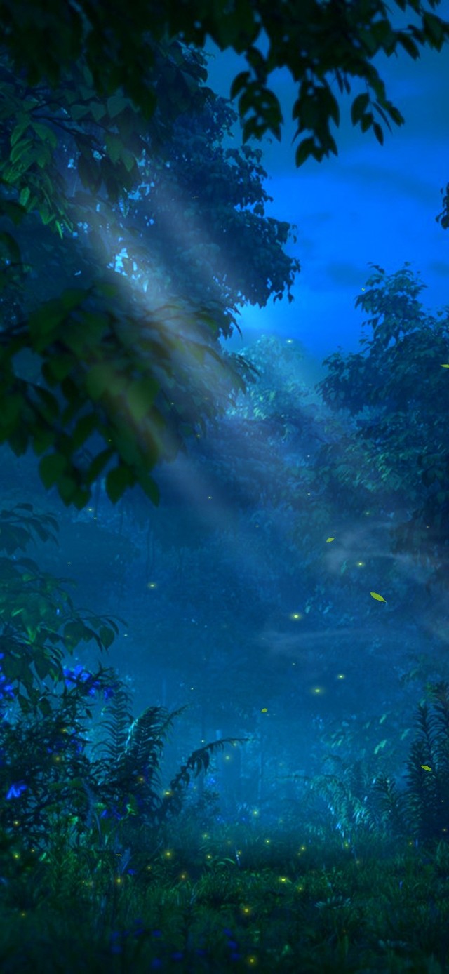 4k 治愈温馨夜晚宁静森林