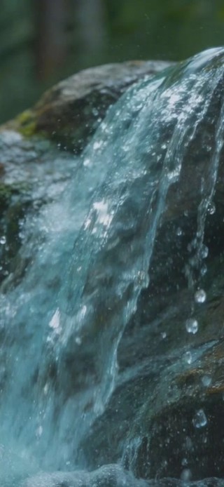 森林溪流