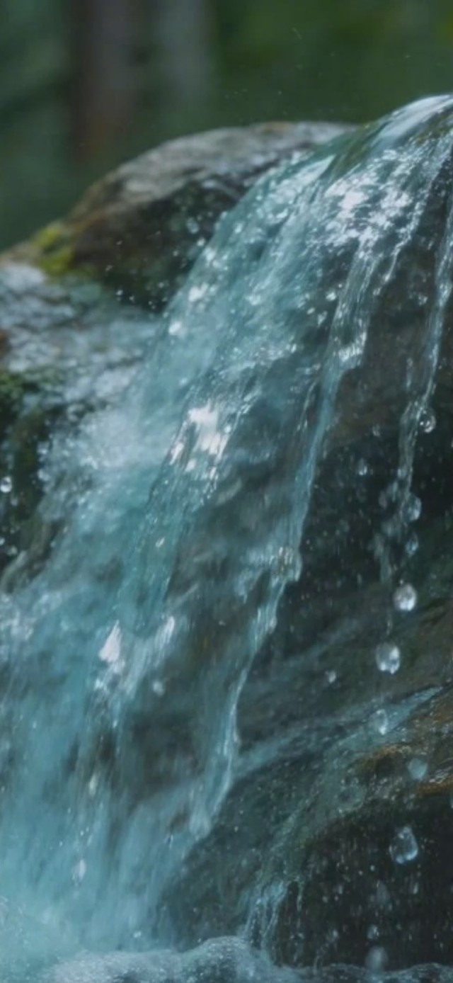 森林溪流