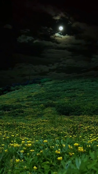 治愈的夜晚