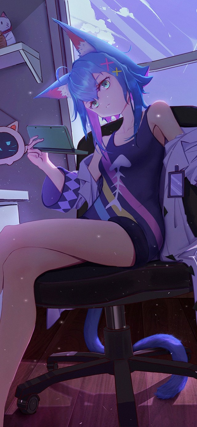 宅女的电脑房间