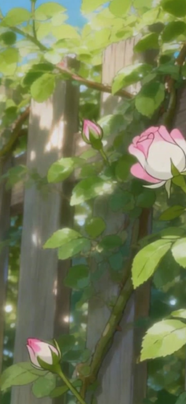 墙薇花